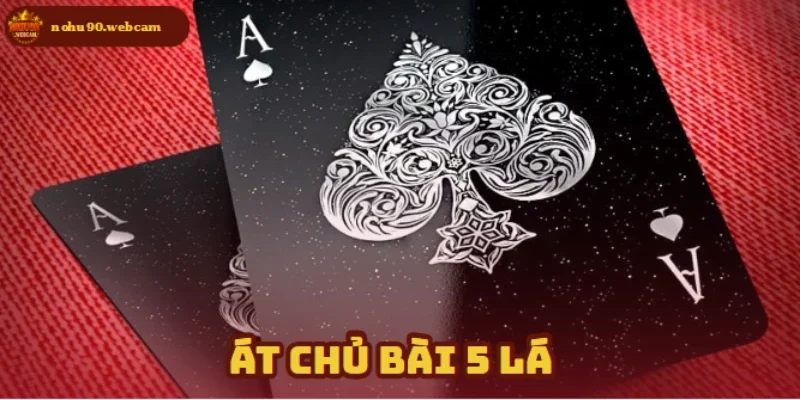 at chu bai 5 la anh dai dien