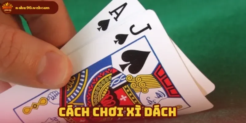 Xì Dách online tại Nohu90 - Trải nghiệm thú vị và an toàn 1 Cách chơi phù hợp với mọi đối tượng tham gia