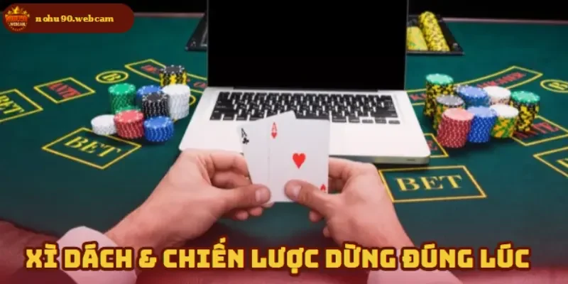 Xì Dách online tại Nohu90 - Trải nghiệm thú vị và an toàn 4 Biết dừng đúng lúc là kỹ năng giữ vững vốn tốt nhất