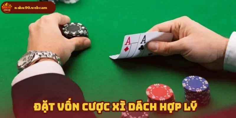 Xì Dách online tại Nohu90 - Trải nghiệm thú vị và an toàn 5 Biết cách đặt cược khi tham gia Nohu90