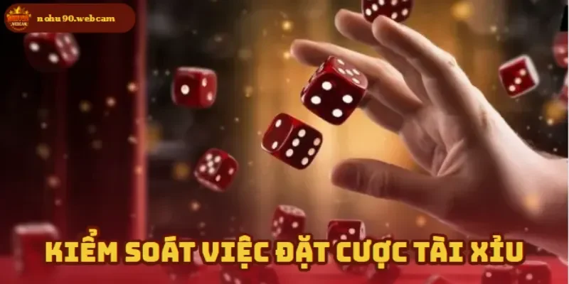 Tài Xỉu - Game cá cược được ưa chuộng trên Nohu90 4 Đặt cược hợp lý – Bí quyết giữ vững phong độ