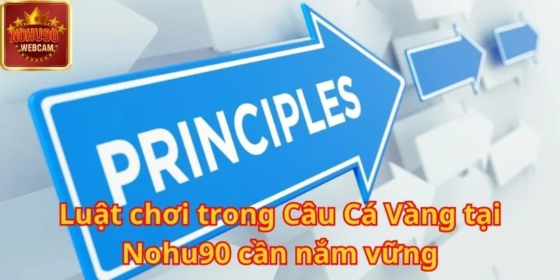 Câu Cá Vàng tại Nohu90 – Cuộc săn thưởng hấp dẫn dưới lòng đại dương 1 Câu Cá Vàng