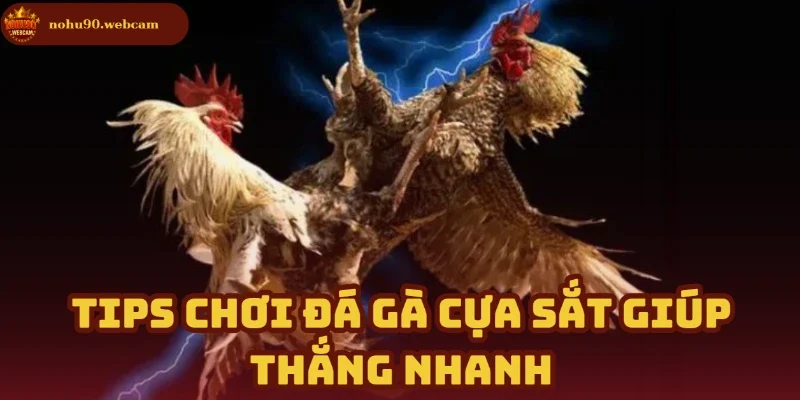 Bí kíp chơi Đá Gà Cựa Sắt dễ thắng