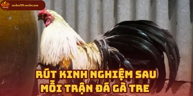 Rút kinh nghiệm & Cải thiện chiến thuật sau mỗi trận