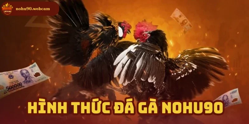 Tổng hợp hình thức thi đấu có trên nhà cái