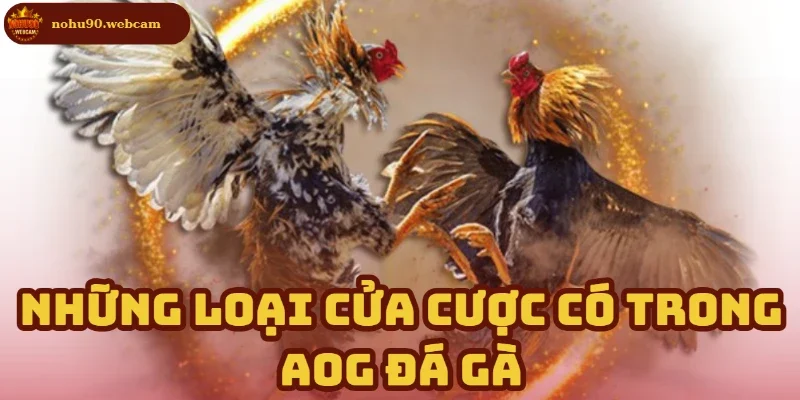 AOG Đá Gà – Trải nghiệm cá cược đá gà đỉnh cao cùng Nohu90 1 Toàn bộ cửa cược trong AOG Đá Gà từ A–Z