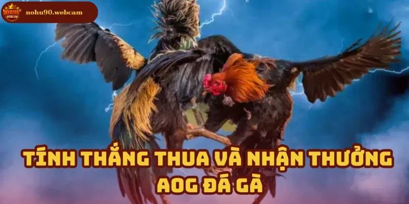 AOG Đá Gà – Trải nghiệm cá cược đá gà đỉnh cao cùng Nohu90 2 Cách tính kết quả thắng thua và quy trình nhận thưởng